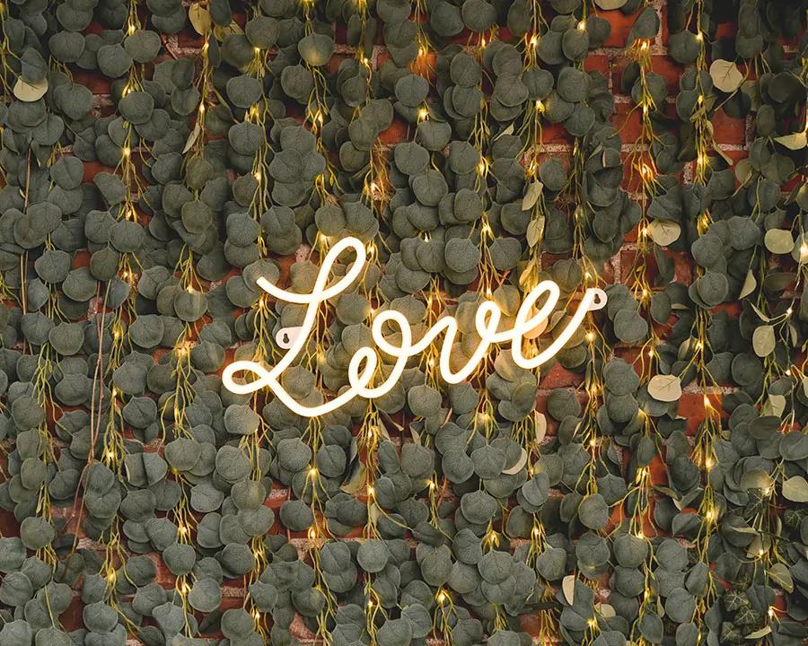 Girlanda Eukalyptus s LED reťazou, dĺžka 2m 2/4