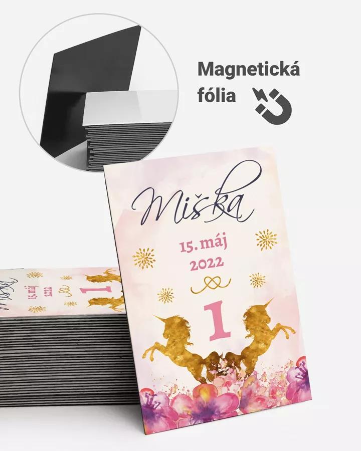 Pamätné magnetky z oslavy obdĺžnik - motív Jednorožec