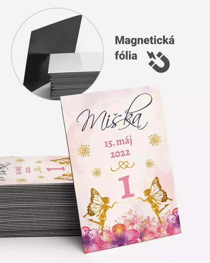 Pamätné magnetky z oslavy obdĺžnik - motív Víla 01