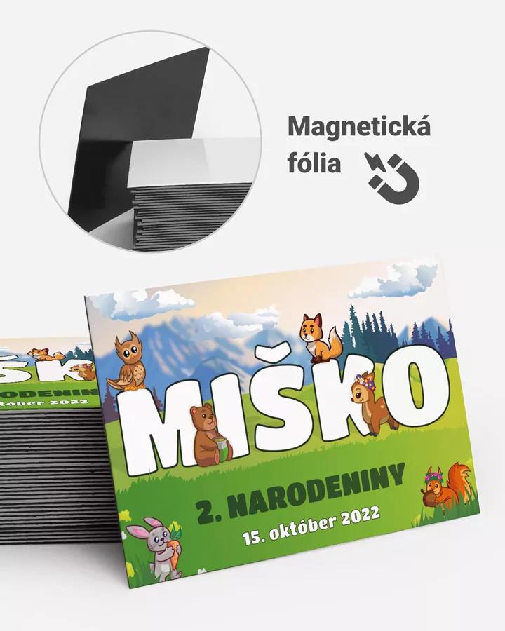 Pamätné magnetky z oslavy obdĺžnik - Zvieratká