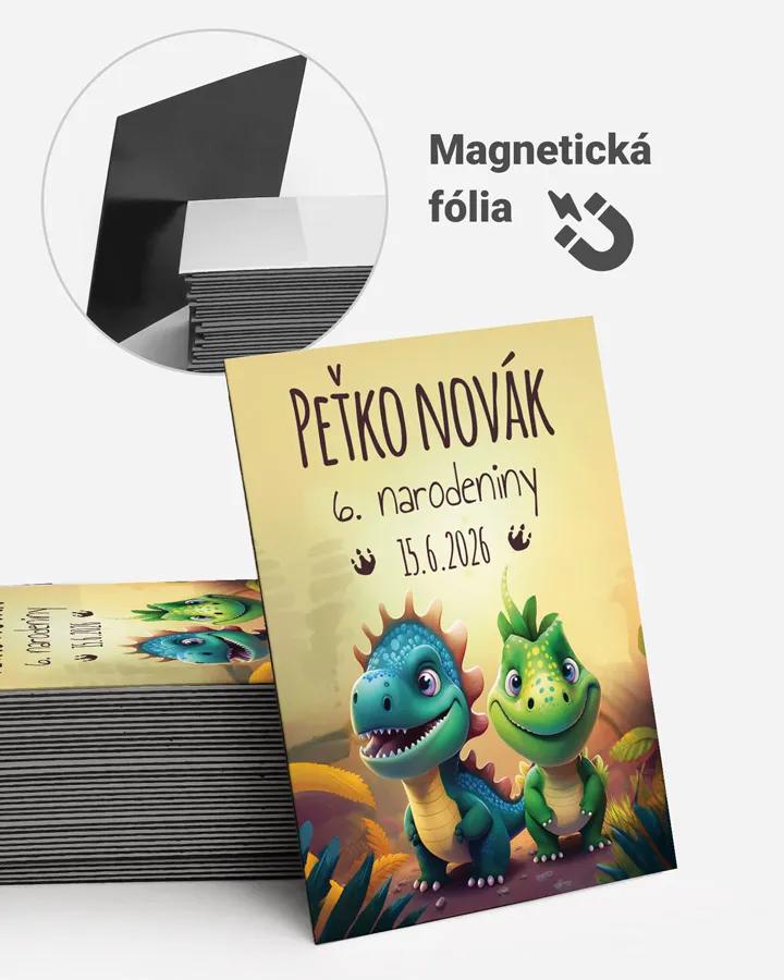 Pamätné magnetky z oslavy obdĺžnik - Dino Párty