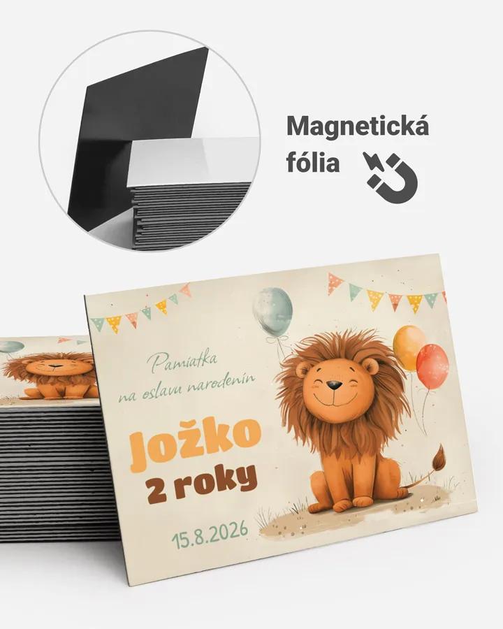 Pamätné magnetky z oslavy obdĺžnik - Kreslený lev