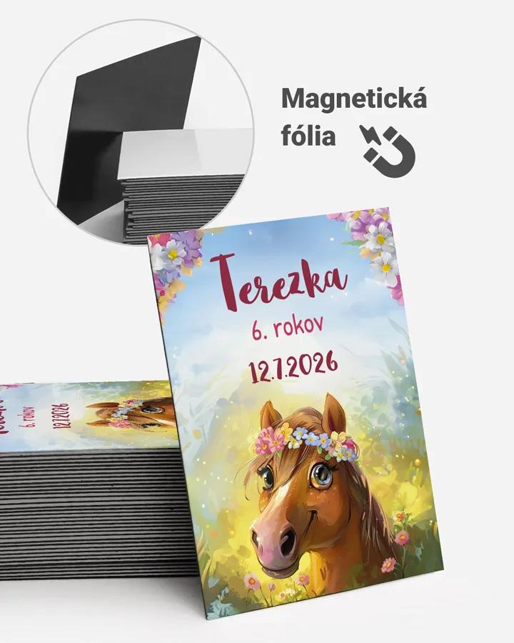 Pamätné magnetky z oslavy obdĺžnik - Koník 1