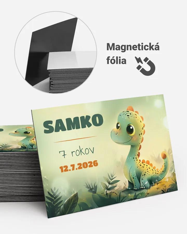 Pamätné magnetky z oslavy obdĺžnik - Dino