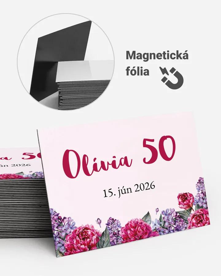 Pamätné magnetky z oslavy  - Pivonky s orgovánom