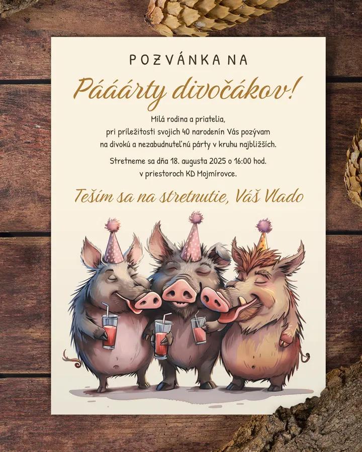 Pozvánka na narodeniny Párty divočákov